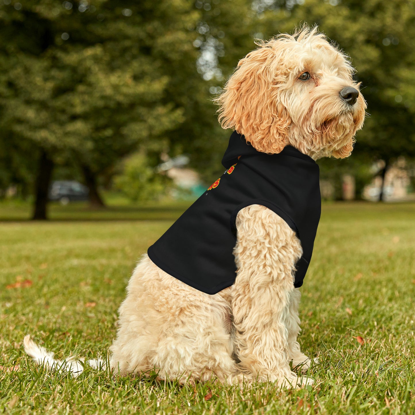 Wonder Wieners Pet Hoodie