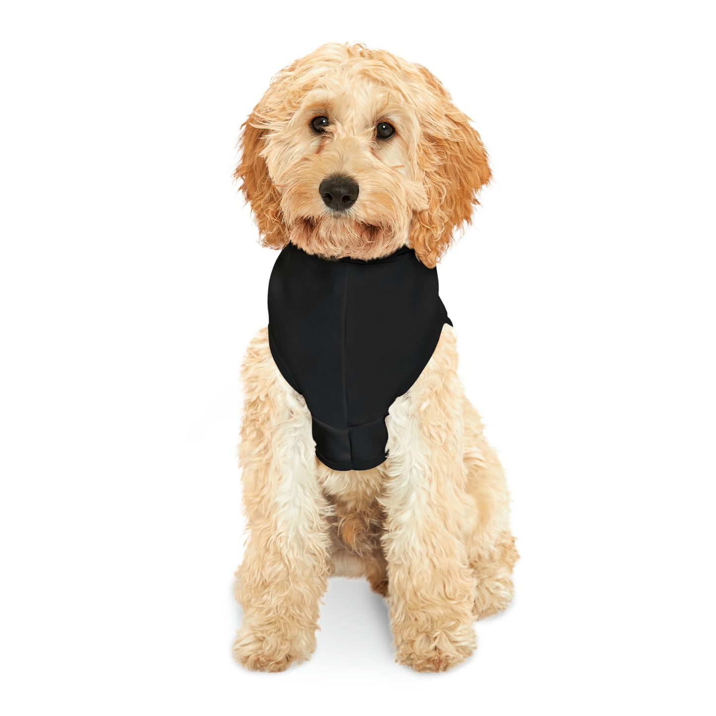 Wonder Wieners Pet Hoodie